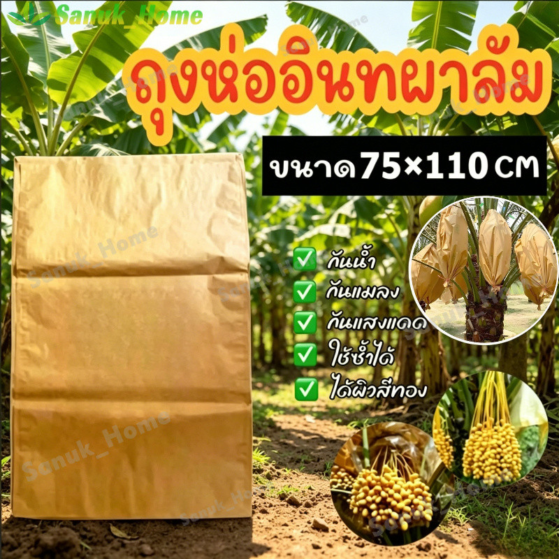 กระดาษห่อผลไม้ ขนาด 75x110 ซม จำนวน 10 ใบ กล้วยหอม ถุงห่ออินทผลัม กระดาษห่ออินทผาลัม กันแมลง เพื่อผลสวยงาม