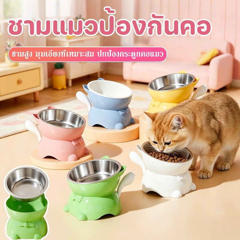 ชามเซรามิกสำหรับแมว ชามอาหารแมว ชามน้ำแมว ชามแมวยกสูง  ชามแมว แตนเลส แบบเอียง สําหรับสัตว์เลี้ยง สุนัข แมว ราคา ถูกที่สุด ดีลบีเคเค แกลเลอรีภาพที่ 2