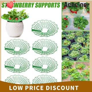 เอซไคนาร์ 1/3ชิ้นพืชถาดยืน,ป้องกันพื้นป้องกันการกัดกร่อนสตรอ…