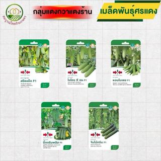 เมล็ดพันธุ์ศรแดง (ซองกระดาษเล็ก) กลุ่มแตงกวา แตงร้าน ความงอก…