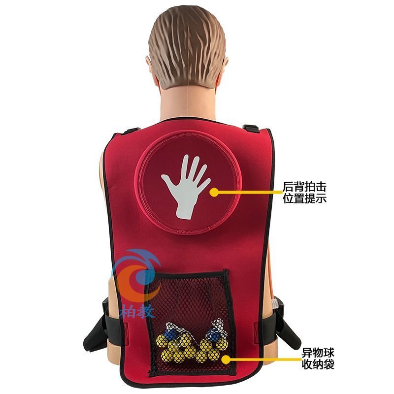 /Ready Straw Heimlik First Aid Training Vest-ผู้ใหญ่เด็กต่างประเทศ Body Stem Plug Static Model Toy
