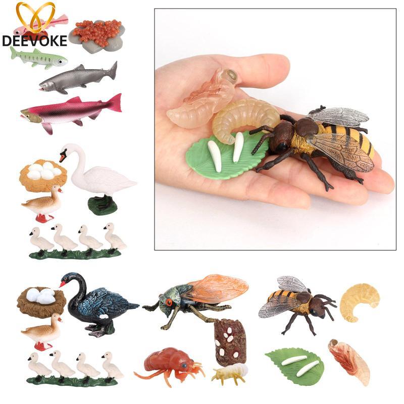 [cuticate11] Animal Life Cycle Models - Swan, Cicada, Salmon, Bee Educational Figurines for Kids