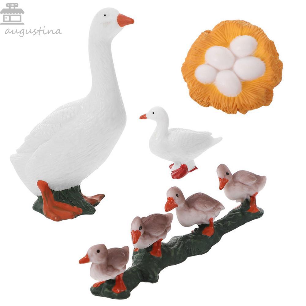 AUGUSTINA Life CYCLE ตัวเลขจําลอง 4 ชิ้น/เซ็ต Cock สัตว์ปีก Growth CYCLE Miniature ของเล่นเพื่อการศึ