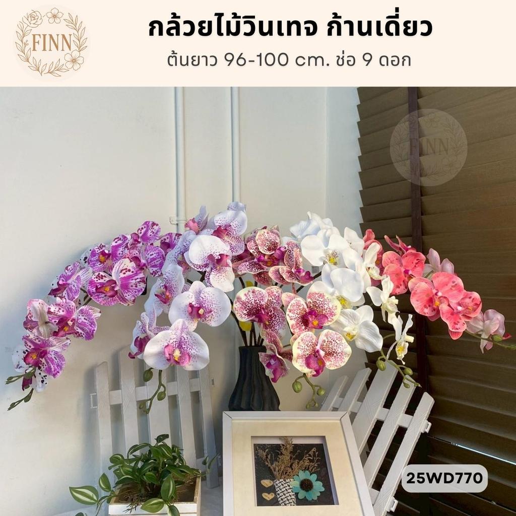 กล้วยไม้วินเทจก้านเดี่ยว ต้นยาว 96-100 CM. ช่อ 9 ดอก 25WD770