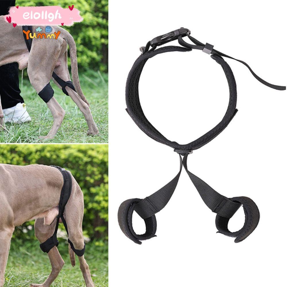 ELOGH Recoveryจัดฟัน Band สีดําโพลีเอสเตอร์ Hind ขา Guard Band Reusable อุปกรณ์สัตว์เลี้ยง S/M/L ปรับป้องกันสะโพกรั้งสนับสนุนลูกสุนัข