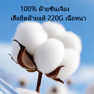 HAICOO เสื้อยืดผู้ชาย Cotton 220G สีพื้น ทรงสวย ใส่สบาย ไม่เป็นขุย S-4XL