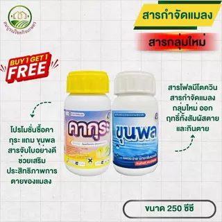 คากุระ แถม ขุนพล ขนาด 250 ซีซี สารกำจัดแมลงกลุ่มใหม่ หนอนเจาะ หนอนใยผัก เพลี้ยไฟ เพลี้ยจักจั่น ฉีดได้ทุกพืช ผ่าดอกได้