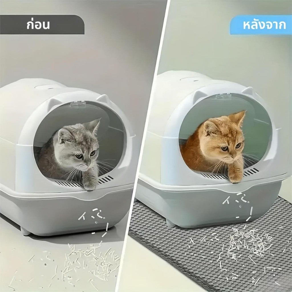 รูปภาพ 2