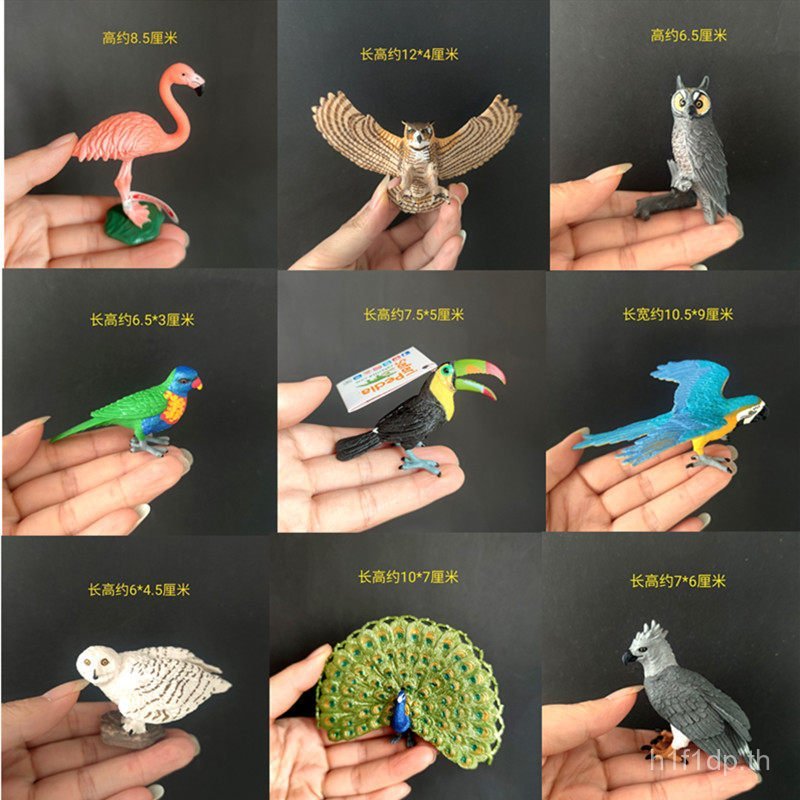 American safari safari Flamingo Toucan จําลองนกสัตว์รุ่นเด็กยอดนิยมของเล่นวิทยาศาสตร์
