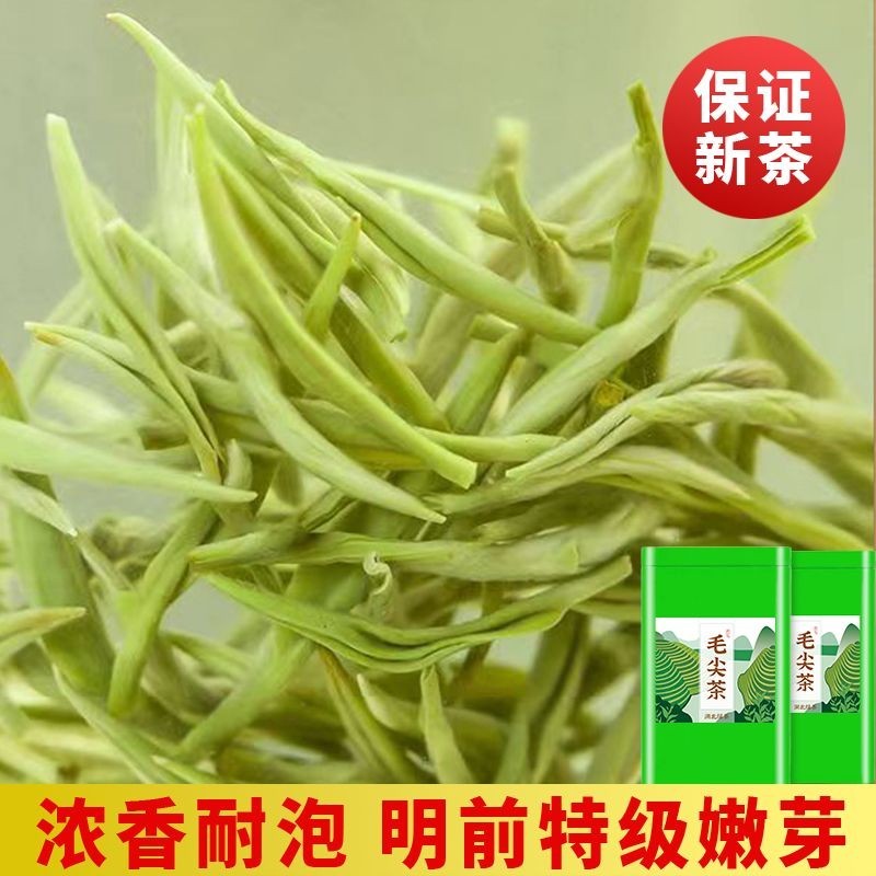 Wufeng Specialty Maojian 2026 ชาใหม่ก่อน Mingming Premium Tender Sprout Authentic Strong Fragrance T