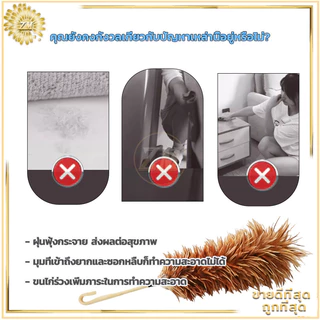 ไม้ปัดขนไก่ ไม้ขนไก่ 60CMไม้ปัดฝุ่น ไม้ปัดขนไก่อย่างดี ขนแน่นหนาฟู ไม่หลุดร่วงง่าย มีขนาดเล็ก น้ำหนักเบา เข้าซอกมุมได้ดี