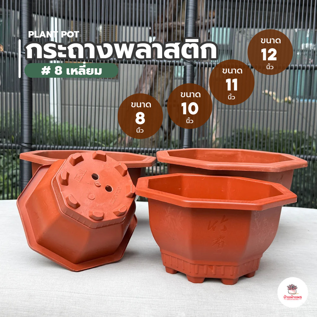 กระถาง 8 เหลี่ยม #สีอิฐ กระถางพลาสติก แคคตัส กระบองเพชร ไม้อวบน้ำ Cactus&Succulent
