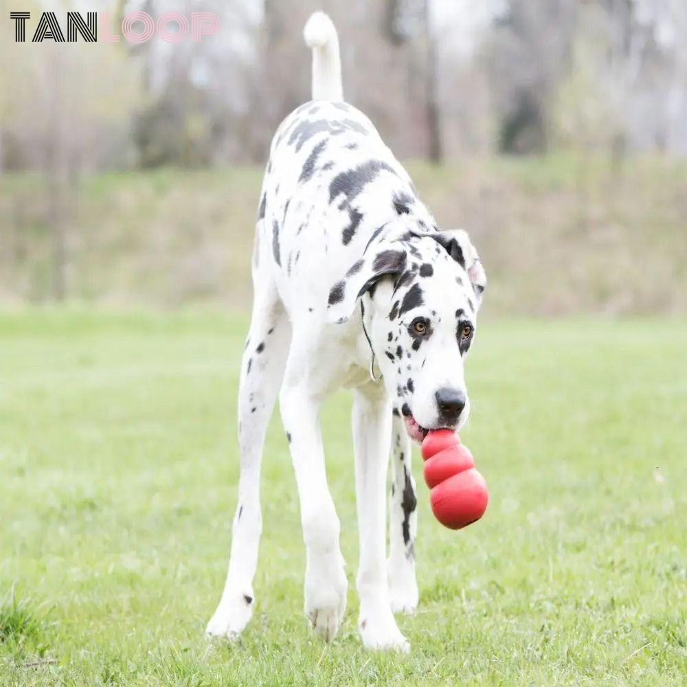 TANLOOP Kong Puppy Toys, Treat-Filled Capbilities Erratic Bounce Kong ของเล่นสุนัข, Stuffable หลายขน