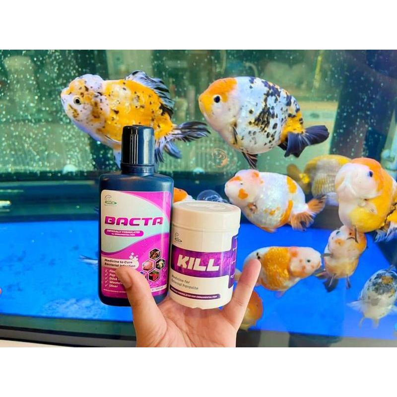 CZ AQUA ''BACTA'' แบคต้า ผลิตภัณฑ์ทำความสะอาดตัวปลา