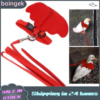 Boingek Boingek สายรัดไก่สัตว์เลี้ยงเป็ดเดินสายจูงและไก่ไก่น…