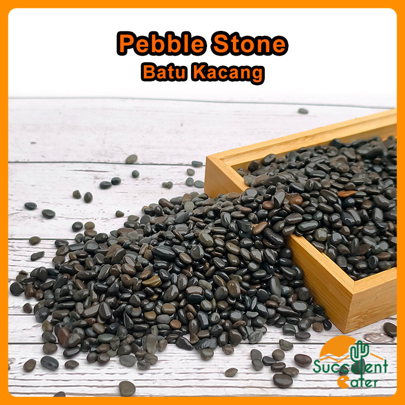 (1 กก.) Pebble Stone Aqurium Pebble Wash Floor Epoxy Gardening ภูมิทัศน์ตกแต่ง Batu Kacan Hiasan Hio