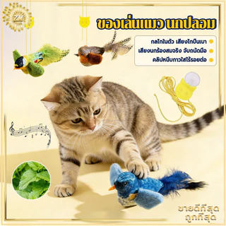 ของเล่นแมว นกปลอม ของเล่นแมวแบบโต้ตอบ ไม้ตกแมว ของเล่นนกจำลองเสียงร้อง รูปนกตลก มีเสียง ของเล่นสัตว์เลี้ยง