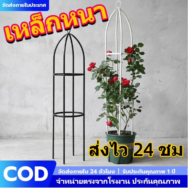 หลักค้ำต้นไม้ โครงไม้เลื้อยเหล็กหุ้มพลาสติก กันสนิม ประกอบง่ายไม่ต้องใช้เครื่องมือ สำหรับไม้ดอกไม้ประดับ Ready Stock
