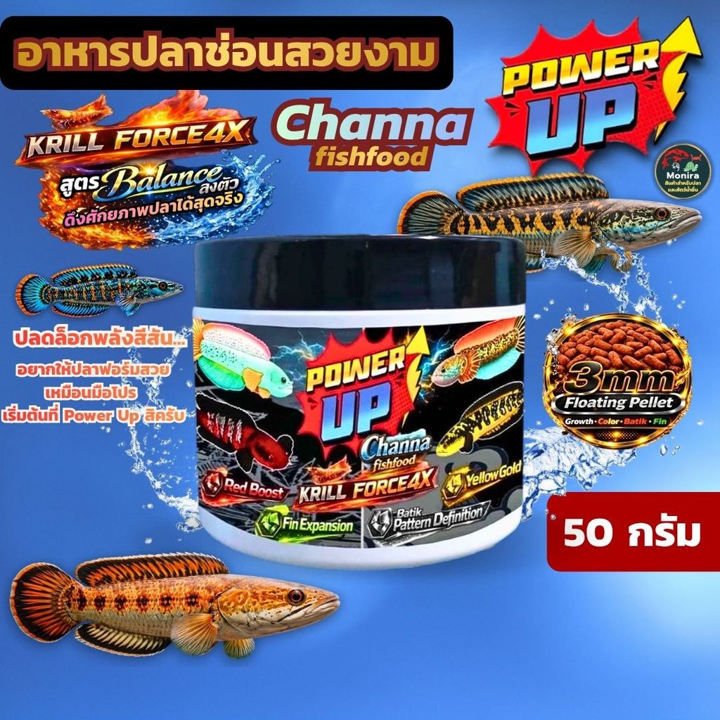 PowerUp Channa อาหารปลาช่อนสูตร Premium: เร่งสี (แดง/เหลือง/เขียว/น้ำเงิน) + เน้นดอกบาติก + ฟินฟอร์มแน่น (50g)