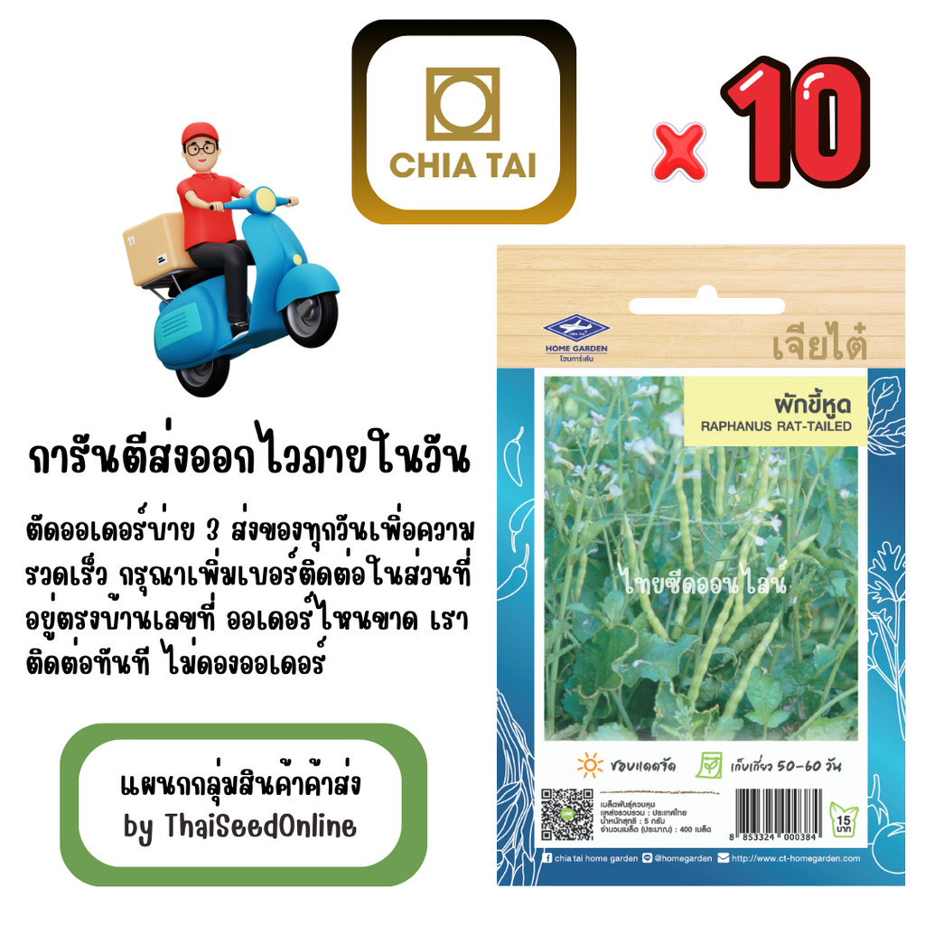 เจียไต๋ CTOP x 10 เมล็ดผักซองเจียไต๋ ผักขี้หูด สินค้ายกแพ็ค