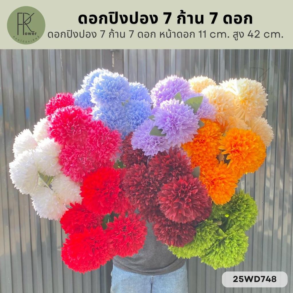 ดอกปิงปอง 7 ก้าน 7 ดอก หน้าดอก 11 cm. สูง 42 cm.