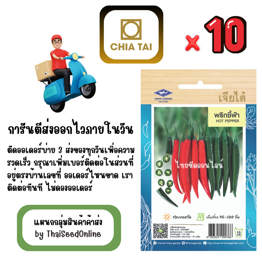 เจียไต๋ CTOP x 10 เมล็ดผักซองเจียไต๋ พริกชี้ฟ้า สินค้ายกแพ็ค