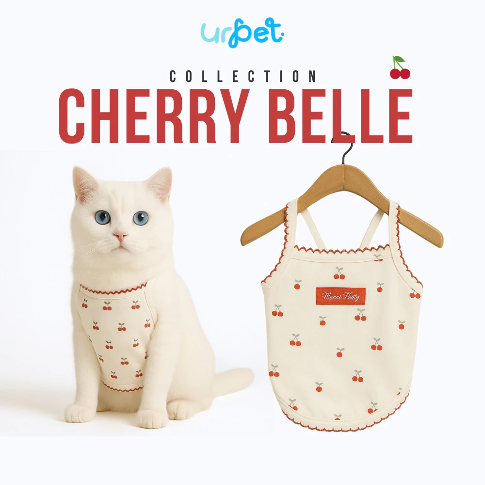 Berry Belle Collection 🍒 - เสื้อกล้าม เสื้อแมวและสุนัขขนาดเล็ก ผ้าโพลีเอสเตอร์ ไม่ร้อน