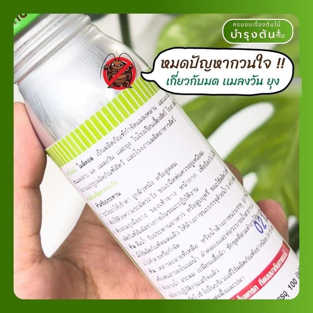 มุมมอง 3