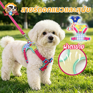 สายรัดอกแมวและสุนัข สายรัดอกแมว ผ้าตาข่าย ป้องกันหลุด ปรับขนาดได้ ระบายอากาศดี ดีไซน์น่ารัก