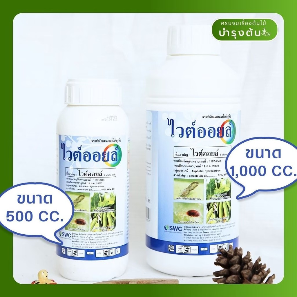 มุมมอง 5