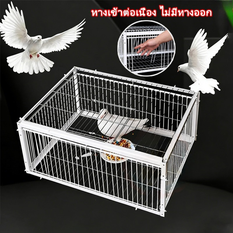 เพนียดดักนก กรงนก ความจุขนาดใหญ่เพนียดดักนก กรกดักนกเขา Bird trap cage กรงต่อนก กับดักนก หนู กรงนกพิราบ พร้อมจัดส่งทันที