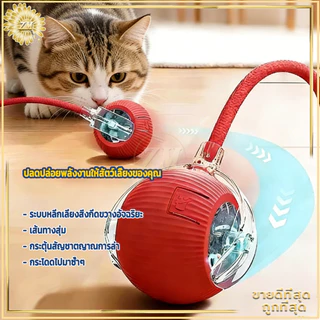 ลูกบอลแมว ลูกบอลมีหาง ของเล่นสําหรับสัตว์เลี้ยง ของเล่นแมวช่วยคลายเครียด เรืองแสง สนุก ทนแรงกัด 360 องศา Type-C