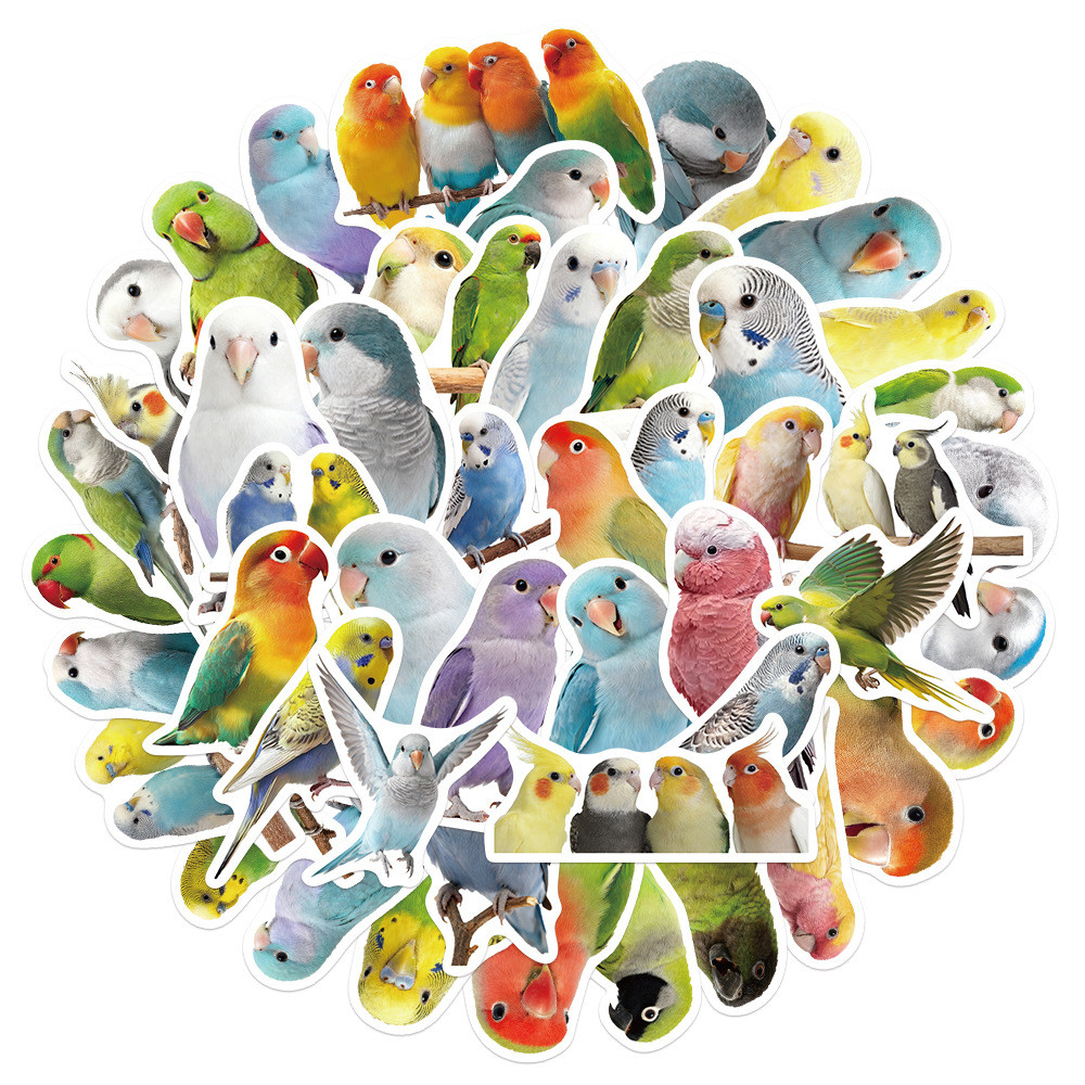 50ชิ้น/เซ็ต Kawaii Parrot Series 03 สติ๊กเกอร์นกสีสันสดใส สติ๊กเกอร์สติ๊กเกอร์ Doodle แฟชั่นกันน้ํา DIY