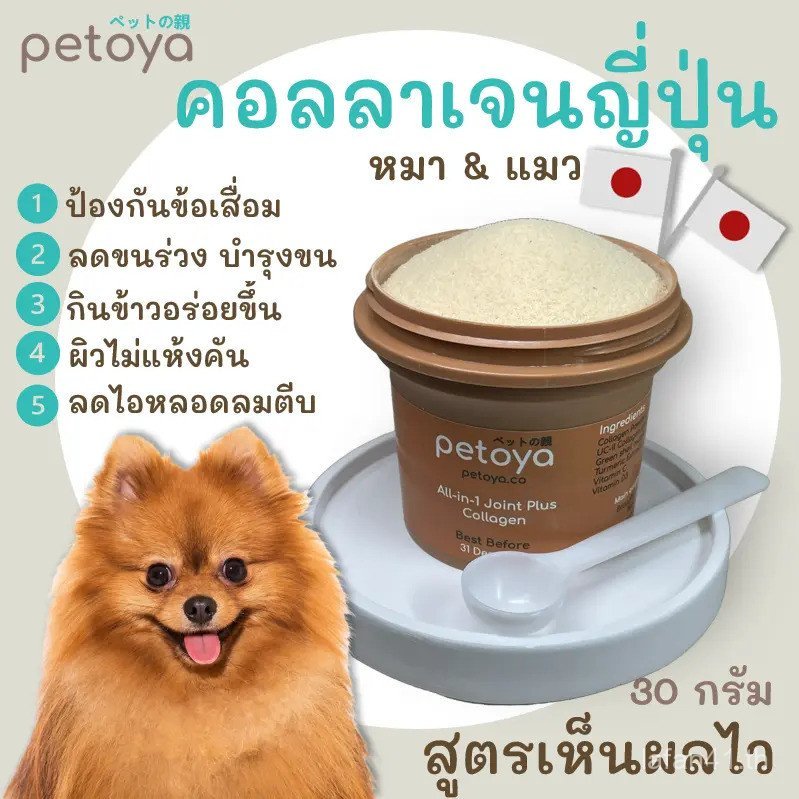 คอลลาเจนญี่ปุ่นเสริมข้อสําหรับสุนัขและแมว สูตร Joint Focus เห็นผลไว F8IW