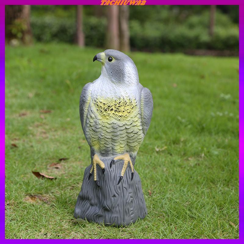 [Tachiuwa2] ที่สมจริง Falcon หุ่นไล่กาสัตว์ Falcon Decoy Weed Pest Control Falcon