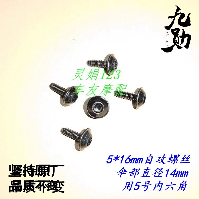 [Chebang] เหมาะสําหรับ Haojue DR250/DR300/XCR300/TR300 สกรูเปลือก สกรูยึดแผ่นด้านข้าง