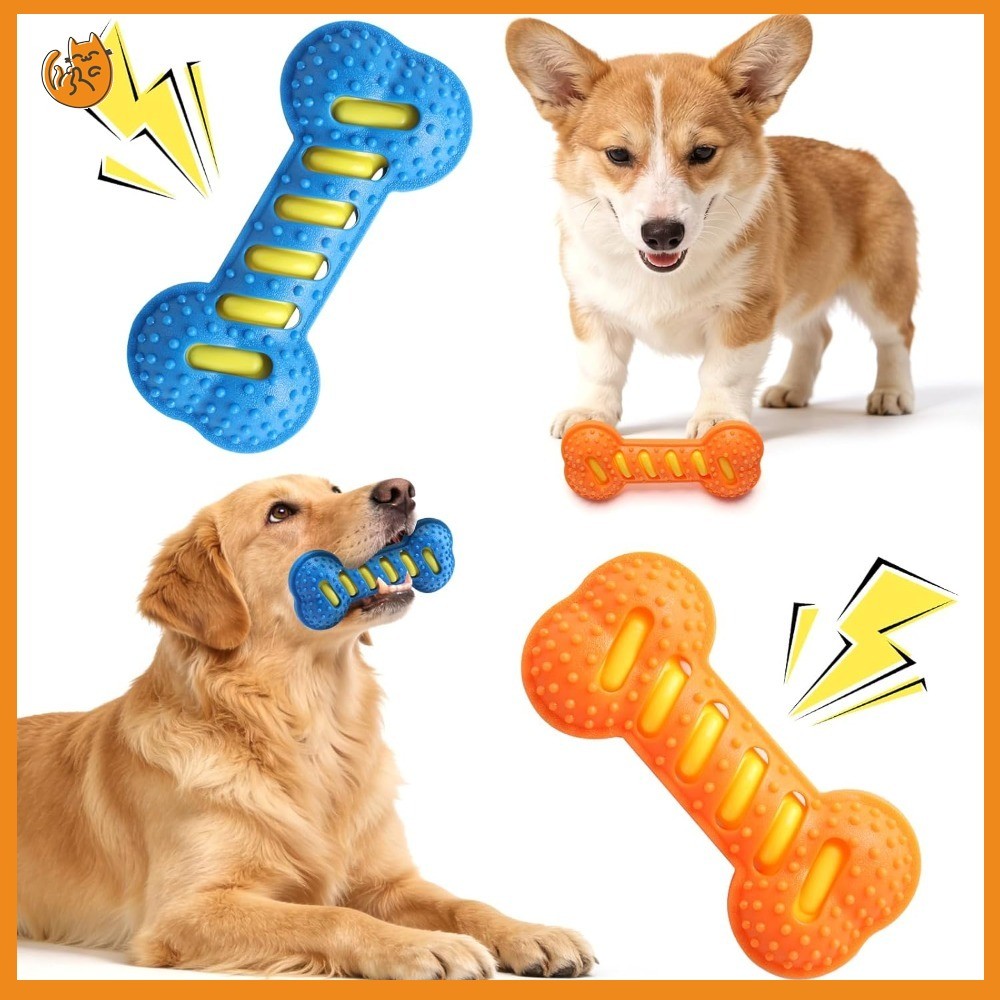 สุนัข Chew ของเล่นทนทาน TPR Squeaky กระดูกของเล่นทําความสะอาดฟัน Interactive ของเล่นสําหรับสุนัขขนาดกลางขนาดเล็กการฝึกอบรม Play