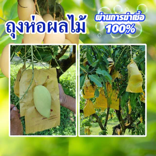400 ใบ ถุงห่อผลไม้ ถุงห่อมะม่วง ใช้ห่อกันแมลง เพลี้ย แสงแดดไม่ต้องห่อกระดาษทับ ใช้ซ้ำได้ ไม่มีไอน้ำเกาะในถุง