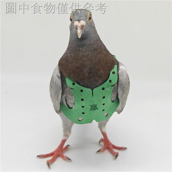 Pigeon Flying Rope Pigeon Traction Rope Pigeon Clothes Pigeon Foot Ring Pigeon Believe Pigeon Turtle