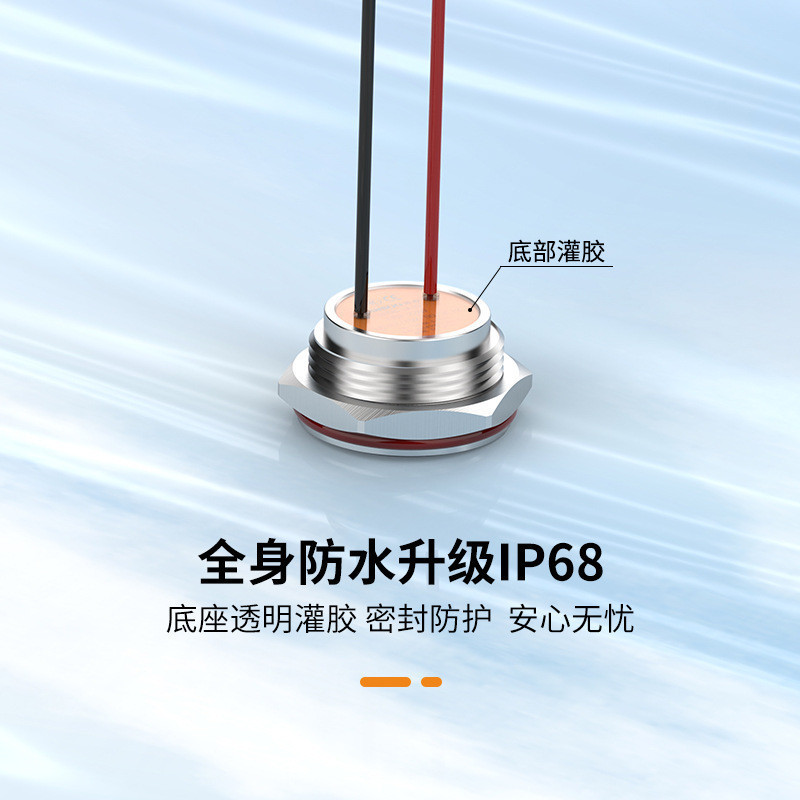ไทค์ 8. Lanbo Z Series ตัวบ่งชี้โลหะ 16/19/22/25 มม.พร้อมสายไฟ LED สี่สีส่องสว่างกันน้ํา 3Y9J IXSB