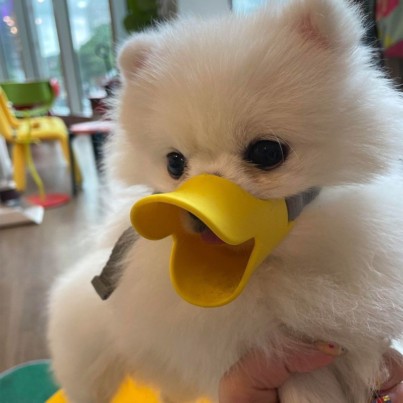 狗狗鸭嘴套防咬叫乱吃嘴罩止吠器可喝水口罩泰迪柯基小型幼犬神器4.15Dog Muzzle to Prevent Biting, Barking, and Eating Foreign Objects,