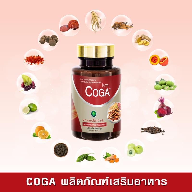 Coga (ซื้อคู่) 100 เม็ด/กระปุก วิตามินรวม สมุนไพร 17 ชนิด โสม หลินจือแดง โคก้า ผลิตภัณฑ์เสริมอาหาร อ