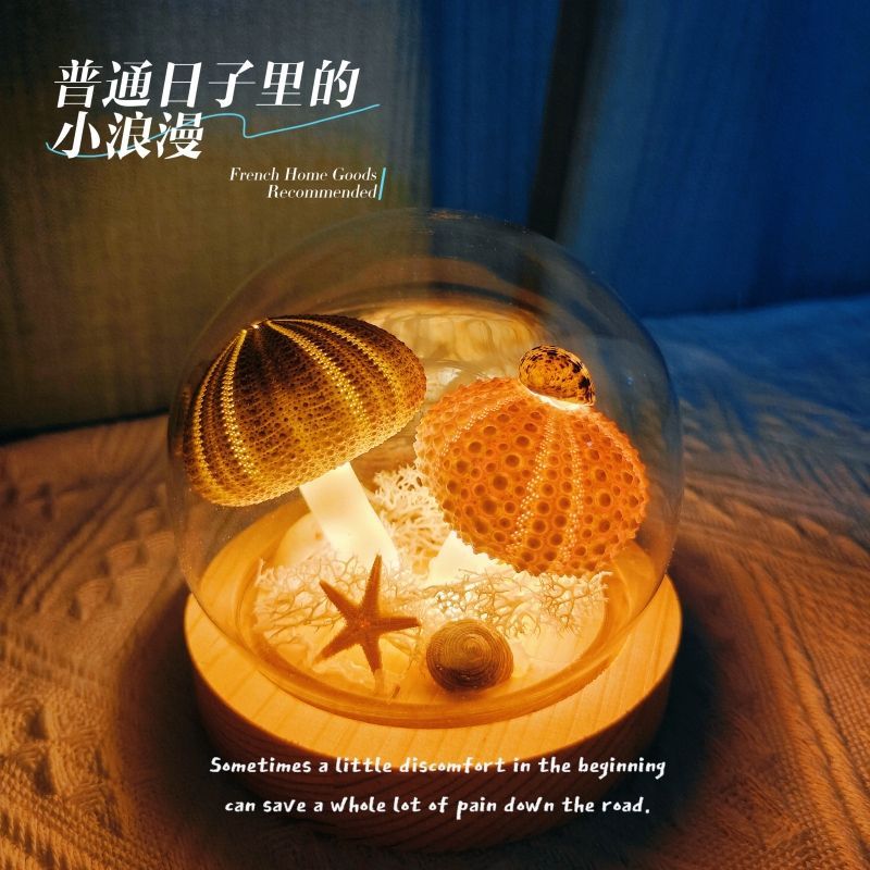 DIY DIY Sea Urchin Shell Night Light เห็ดของขวัญทํามือสําหรับแฟนแฟนของขวัญวันเกิดงานแต่งงาน; DIY Sea