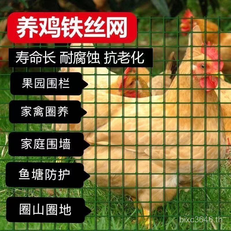 Rose Climbing Net Rose Climbing Vine Climbing Wall Plant Net Wall Traction Barbed Wire Grid Vine Man