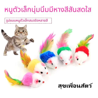 ของเล่นแมว ตุ๊กตาหนูขนสัตว์ สีรุ้ง หางขนนก สีหลากหลาย เล่นโต้ตอบ คลายเบื่อ 🐱🐭 สินค้าพร้อมส่ง ส่งเร็วทันใจ ⚡