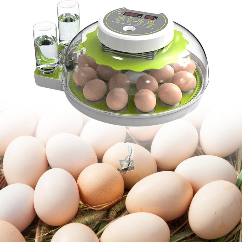 ตู้ฟักไข่เปิดไข่อัตโนมัติ - ความจุไข่ 18 ฟองพร้อมระบบควบคุมอุณหภูมิความชื้น 360 ดู - รูปที่ 6