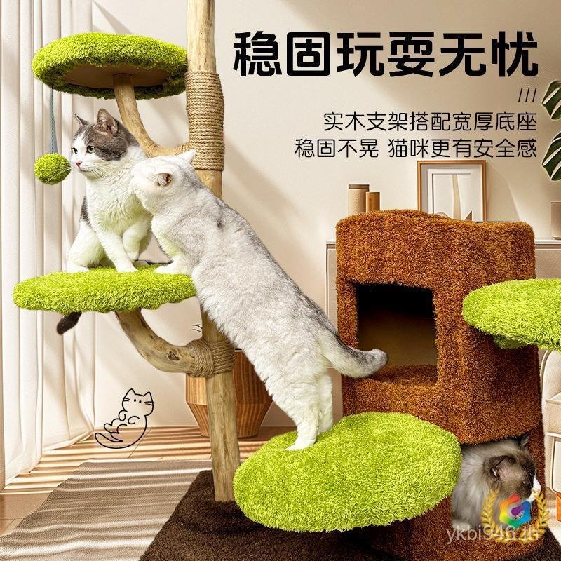 ⊕ Cat All-Day Tree Cat Climbing Frame Cat Litter Cat Tree One-Piece Not Ocupy Dissal Cat Jumping Pla