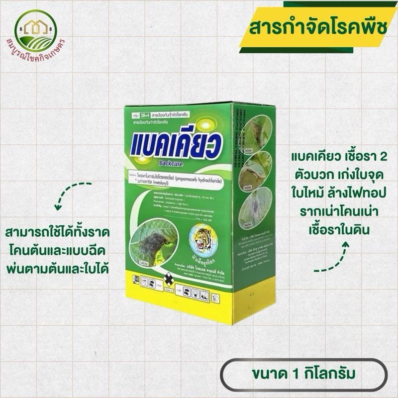 แบคเคียว 1 กก สาร 2 ตัวบวก 2 พลัง ตราหัวเสือ  ล้างไฟท้อปเธอร่า เชื้อราในดิน รากเน่า โคนเน่า ยานาข้าว ทุเรียน ไม้ผล