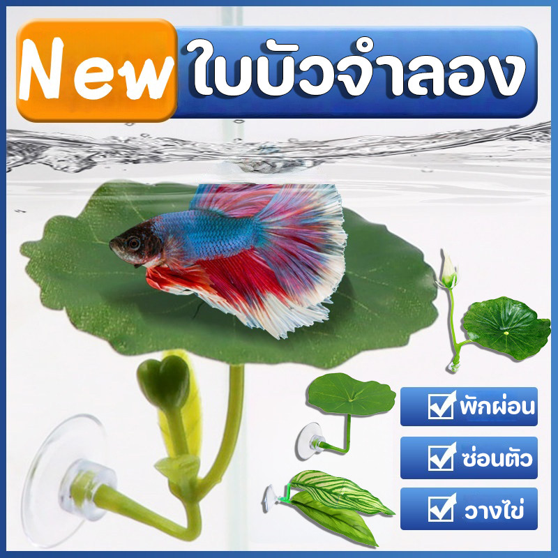New ใบบัวจำลอง ตก แต่งตู้ปลา ปล่อยให้ปลาได้พัก หญ้าจำลอง ทำให้ตู้ปลาสวยขึ้น การวางไข่