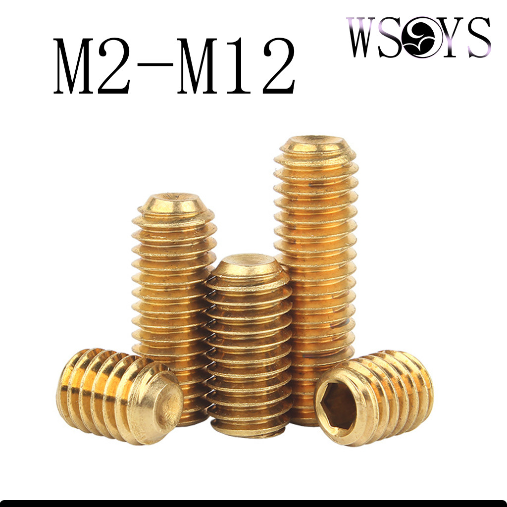 ทองเหลือง ตัวหนอน ขัน หกเหลี่ยม/Hex Socket Set Screw M2-M12 [WSYS-MB-AD]